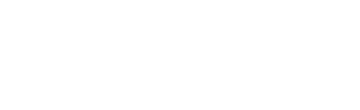 Blue Phoenix Group